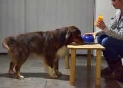 LNDW 2019 In Jena 221119 0014